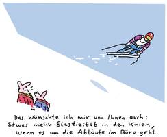 Cartoon: Meissner Strategen