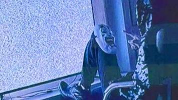 Schwere Vorwürfe gegen White Tiger: „Das Grauen schlechthin“