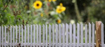 einbruch in kleingartenanlage: mehrere gartenhäuschen durchsucht