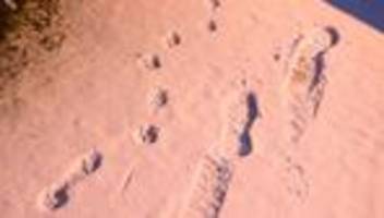 Winterwetter: Schnee und Regen prägen Woche in Niedersachsen und Bremen