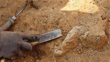 Archäologen entdecken faszinierenden Beweis für Hannibals Elefanten