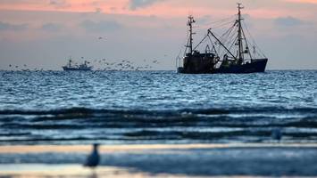 „Bro, we have a problem“: Chat entlarvt Kokain-Fiasko an ungewöhnlichem Ort