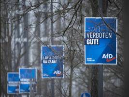 Verfassungsschutz: Geheimdienste fürchten, „blind und taub“ gegenüber der AfD zu werden