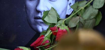 Epibatidin: Mit diesem Stoff soll Alexej Nawalny ermordet worden sein