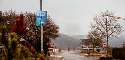 afd-erfolg in rottweil-tuttlingen: warum die afd in wohlhabenden regionen punktet