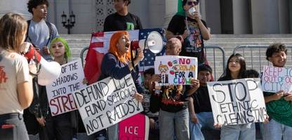 homeland security jagt ice-kritiker in sozialen netzwerken