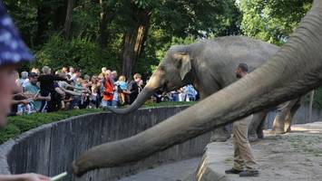 Posse um neues Bezirkslogo: Motiv wieder gescheitert – wegen Hagenbeck