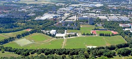 Pilzbefall: Stadtwerke müssen 33 Bäume bei Sportanlage Süd fällen lassen