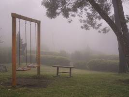 Literatur: Das sollen wir gewesen sein?