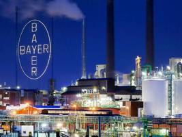 Bayer: Milliardenvergleich wegen Glyphosat – wie es nun weitergeht