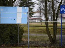 bei reitturnier in riem: abgeschnittene schweife, zusammengeschnürte zungen: unbekannte quälen ponys