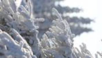 Wetter: Mischung aus Schnee und Regen in Sachsen-Anhalt