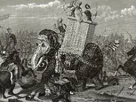 beweis für kriegsmaschinen mit rüssel: gehörte ein ausgegrabener knochen einem hannibal-elefanten?