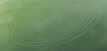 Selbstmanagement: Wege aus dem endlosen Gedankenkarussell