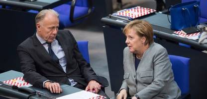 jürgen trittin kann sich angela merkel als bundespräsidentin vorstellen