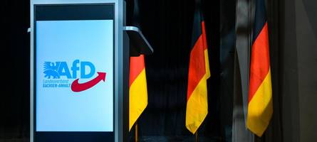 Wie sehr schadet die Verwandtenaffäre der AfD?