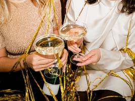 Literatur: Mit Schampus durch alle Krisen