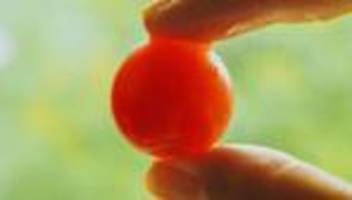 fasten: wie fasten den körper verändert