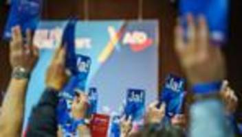 generation deutschland: afd-politiker verteidigt neue jugendorganisation