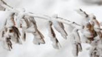 Wetter: Schnee und Minusgrade in Sachsen-Anhalt