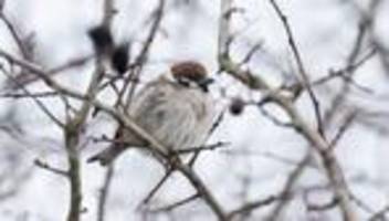 Wetterbericht: Wo im Südwesten Schneefall und Glatteis zu erwarten sind