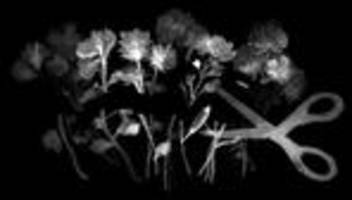 partha dasgupta: wir haben das falsche gemessen und das falsche unterrichtet