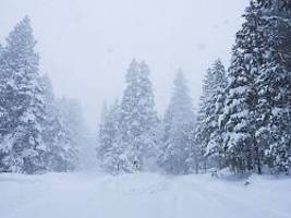 50 rettungskräfte im einsatz: zehn skifahrer nach lawine in kalifornien vermisst