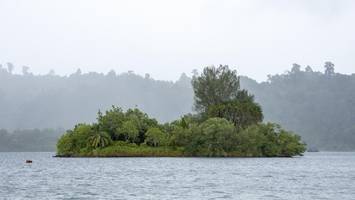 Suche nach Muscheln endet tragisch – Frau im Magen eines Krokodils entdeckt