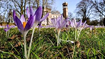 wann beginnt der frühling in berlin? „es kommt eine völlig andere wetterwelt“