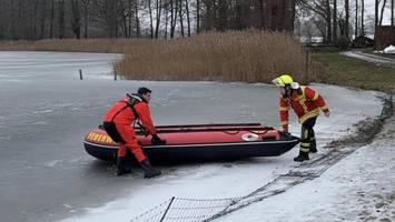 Hunde-Drama am Itzstedter See: Tier bricht auf Eisfläche ein und ertrinkt