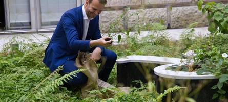 ein frischling mit potenzial: so lief florian dorns erstes jahr im bundestag