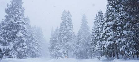Sheriff: Acht Skifahrer nach Lawine in Kalifornien tot