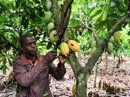 Konsum: Wer verdient an der Schokolade?