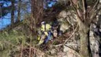 bergsteiger gefragt: hündin pia aus luftiger höhe von steilwand gerettet