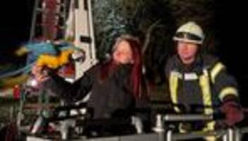 tierischer einsatz: wie papagei drago aus 15 metern höhe gerettet wird