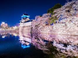 kolumne „hin und weg“: ende der kirschblüten-party