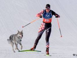 Habe ich Halluzinationen?: Nazgul sorgt auch ohne Medaille für einen der schönsten Höhepunkte