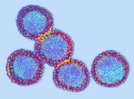 infektionswelle in deutschland: influenza führt, rsv holt auf - ein virus ist abgeschlagen