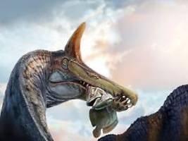 knochen ragten aus wüstensand: riesen-dino mit höllenreiher-look entdeckt