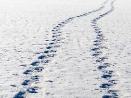 verfolgsjagd bei bösinghausen: spuren im schnee verraten einbrecher in niedersachsen