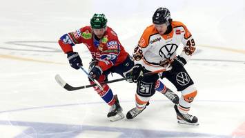 was die eisbären in wolfsburg vorhaben