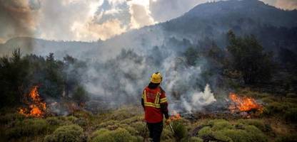 klimakrise: tage mit hohem waldbrandrisiko haben sich fast verdreifacht