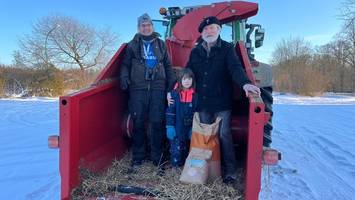 Rettungsaktion des Nabu: Kraniche drohen zu verhungern