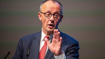 Vetternwirtschaft in der AfD? Jetzt schaltet sich Kanzler Merz ein