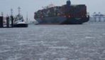 Bundeskartellamt: Cosco darf Mehrheit an Hamburger Spedition Zippel übernehmen