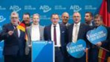 Vorwurf der Vetternwirtschaft: Fokus auf AfD-Mitarbeiter mit familiärem Hintergrund
