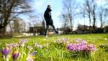 Wetter: Frühlingshafte Temperaturen erwartet