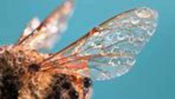 Klimawandel und Biodiversitätsverlust: Der Klimawandel ist ein unterschätztes Sicherheitsrisiko!