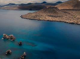 Ökologie: wie repariert man eine insel?