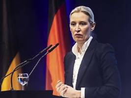 klöckner kritisiert partei: weidel für reformen nach afd-verwandtenaffäre